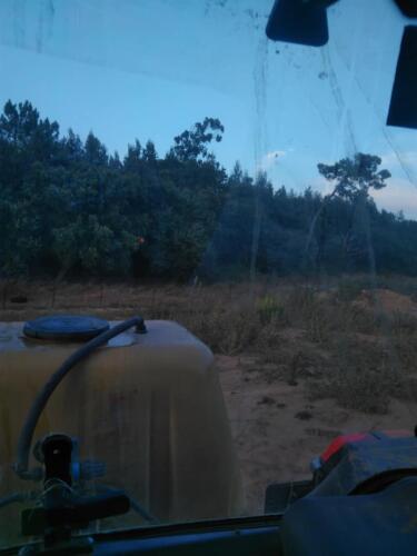 Serviços agrícolas