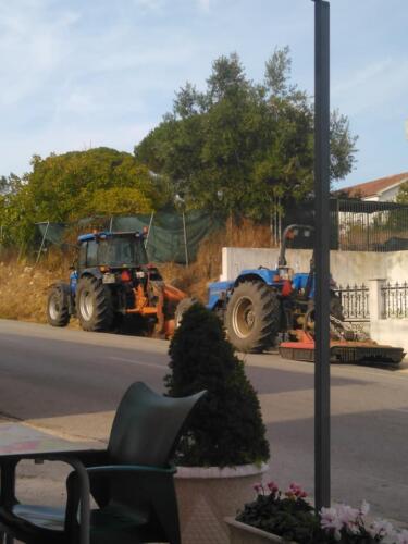 Serviços agrícolas