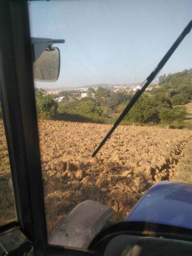 Serviços agrícolas