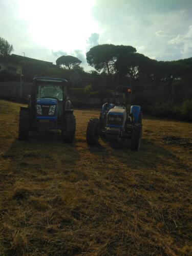 Serviços agrícolas