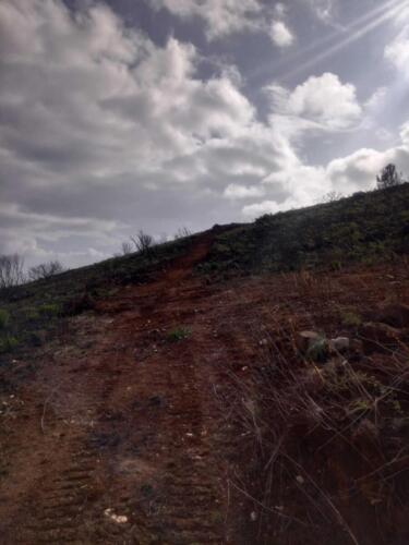 Limpeza-de-encosta-2