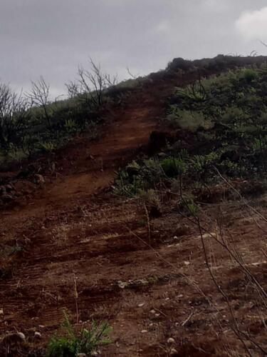 Limpeza-de-encosta-3