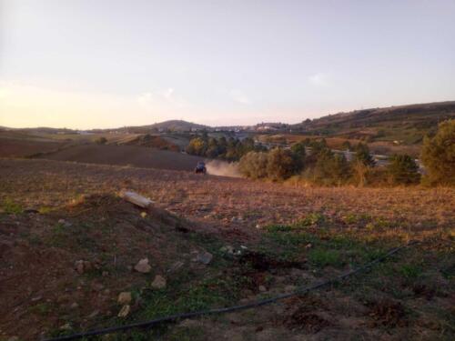 Trabalhos-agricolas-david-pereira-2