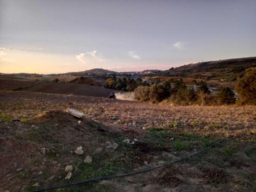 Trabalhos agricolas david pereira